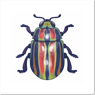 Rainbow Beetle Posters and Art